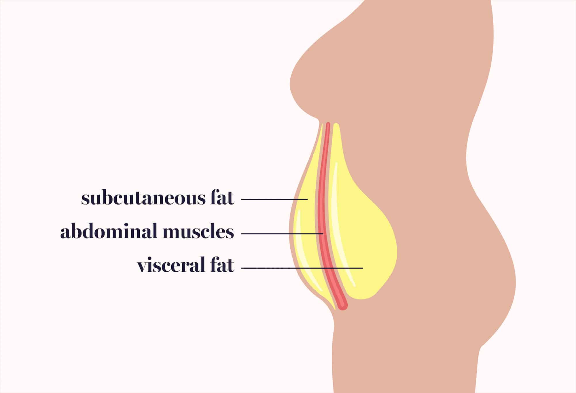 Subcutaneous and visceral fat location
